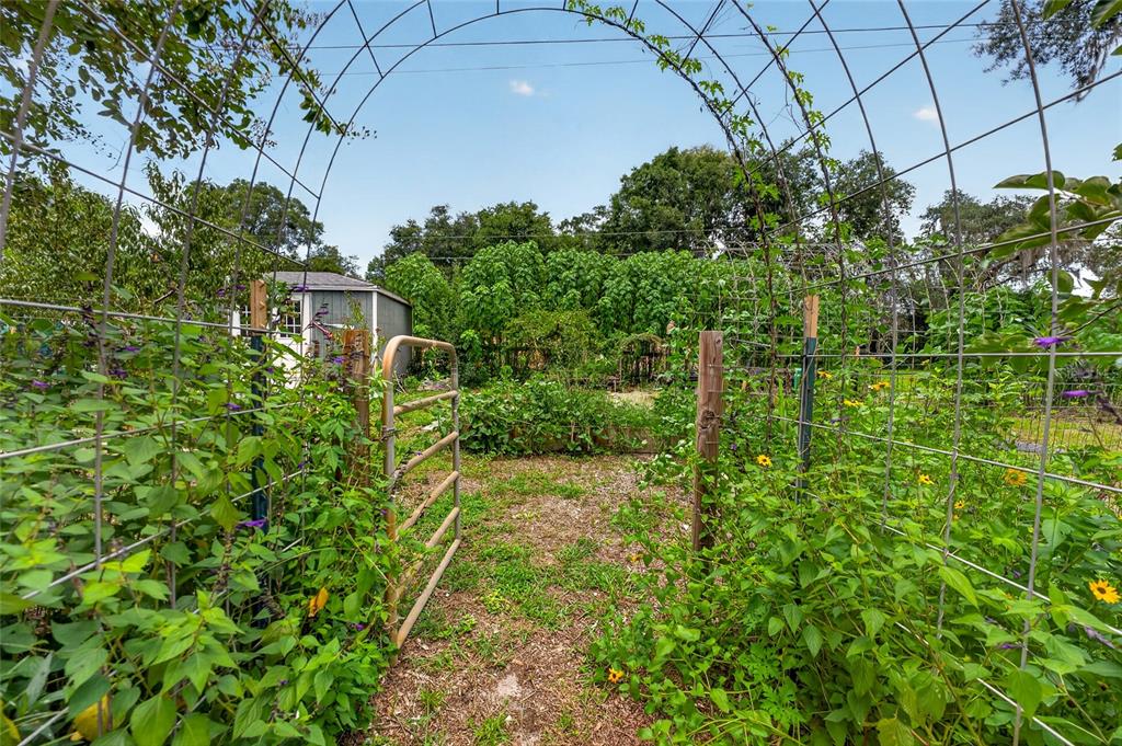 A metal arched trellis stands over a garden gate leading into a backyard vegetable patch — 28211 MAGNON DRIVE, BROOKSVILLE, FL