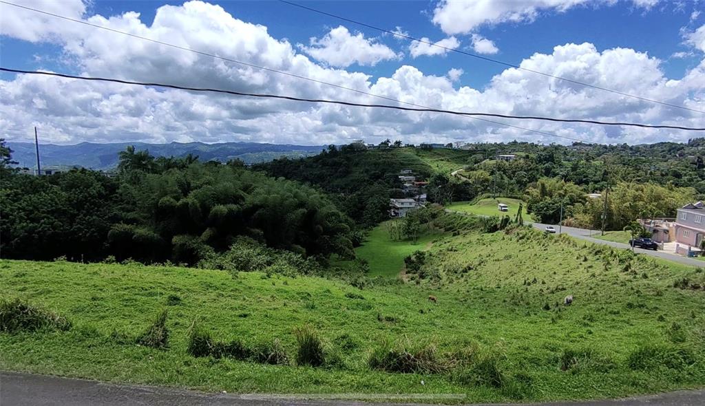 A grassy, sloped hillside overlooks a valley with scattered houses and distant mountains — PR 749 KM 0.2 LOT 3 QUEBRADA GRANDE WD, BARRANQUITAS, PR