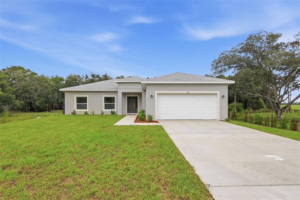 A single-story house with a gray exterior, a two-car garage, and a concrete driveway — 121 S CANOE CREEK ROAD, KENANSVILLE, FL