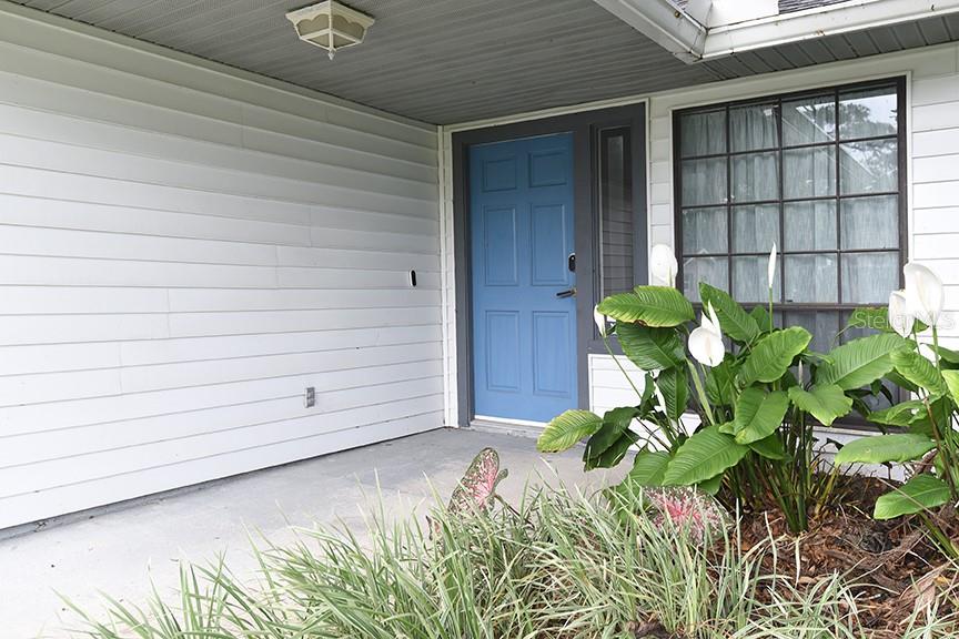 A blue front door is set into a white-sided house with a concrete porch — 2213 PINE TREE DRIVE, EDGEWATER, FL