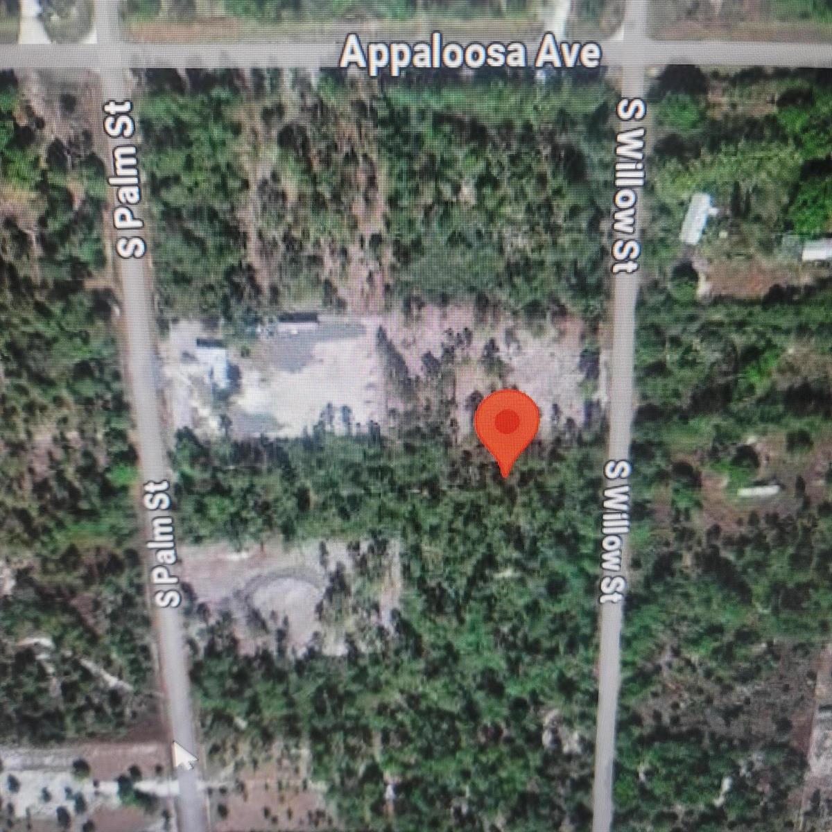 This is an aerial map view of a wooded lot located between two streets — 730 S Willow, Clewiston FL 33440, CLEWISTON, FL