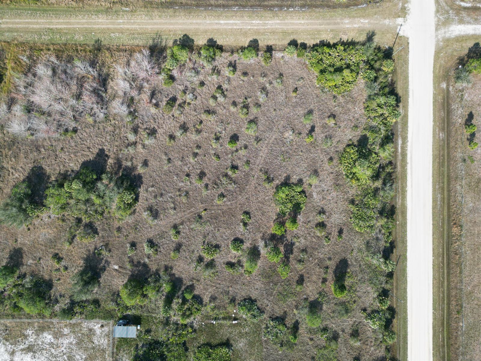 An aerial view shows a vacant, brush-covered lot adjacent to a dirt road — 16010 NW 278th Street, Okeechobee FL 34972, OKEECHOBEE, FL