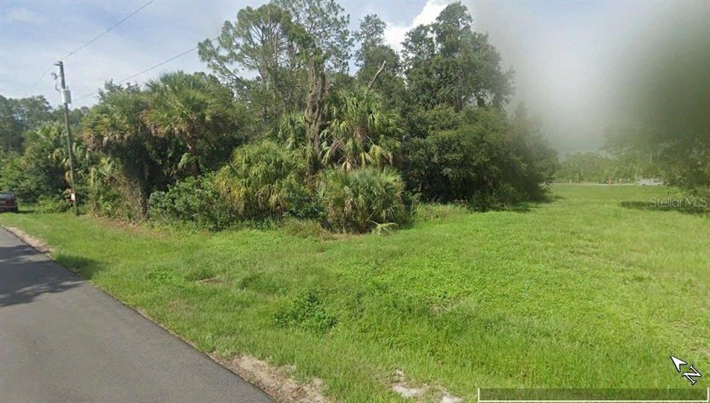 A grassy, undeveloped lot features dense trees and shrubs alongside a paved road — Lot 24 LARAMIE CIRCLE, NORTH PORT, FL