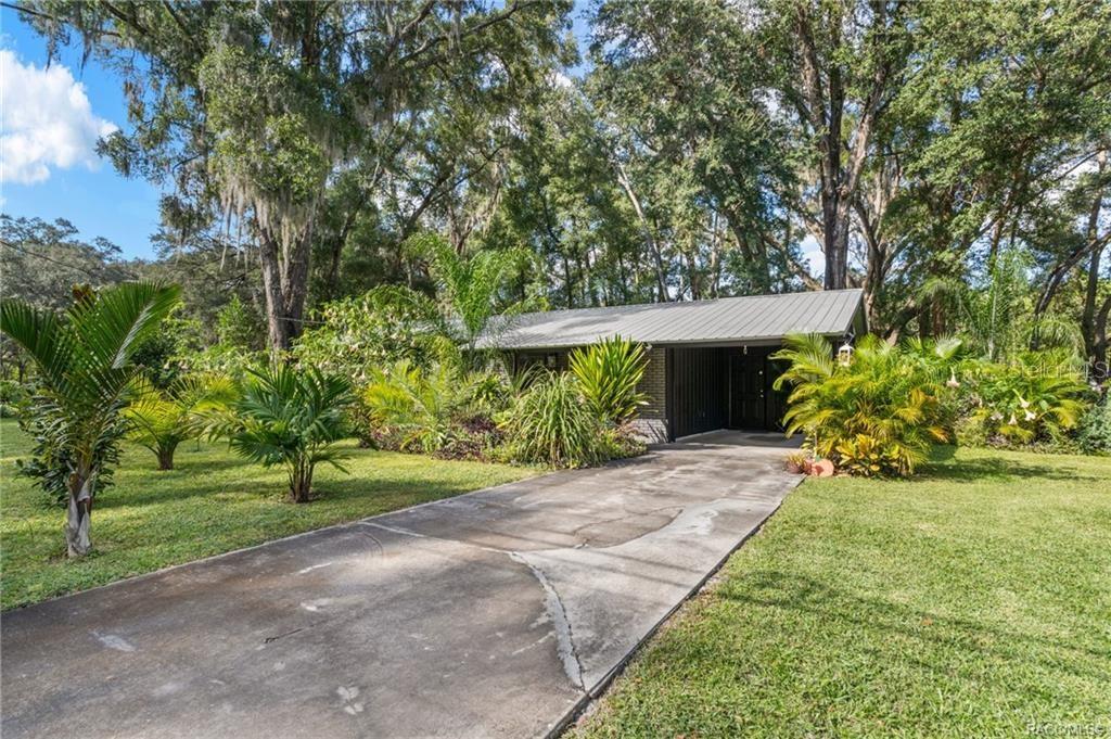 A single-story house with a metal roof and concrete driveway surrounded by lush tropical landscaping — 3751 SE 145TH STREET, SUMMERFIELD, FL