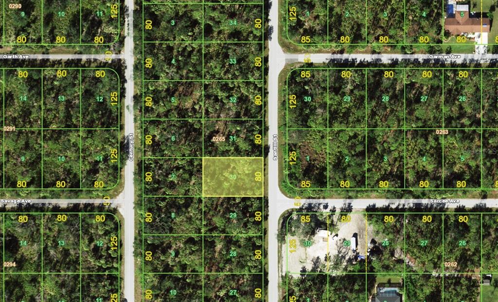 This is a map showing a highlighted vacant lot in a residential subdivision — 3319 SANTILLI STREET, PORT CHARLOTTE, FL