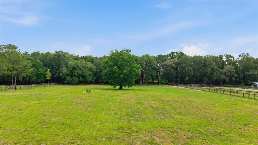 A large, grassy field features a central tree and is bordered by wooden fencing — 12165 W HIGHWAY 326, OCALA, FL