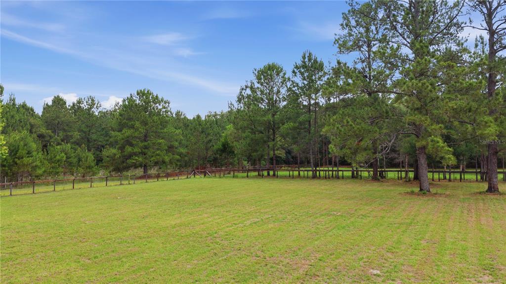 A grassy field is enclosed by a wooden fence with a dense forest in the background — 12165 W HIGHWAY 326, OCALA, FL