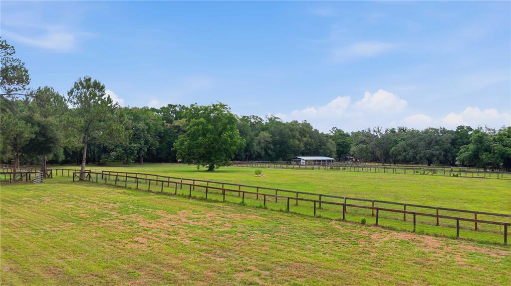 A large, fenced grassy pasture is surrounded by mature trees under a blue sky — 12165 W HIGHWAY 326, OCALA, FL