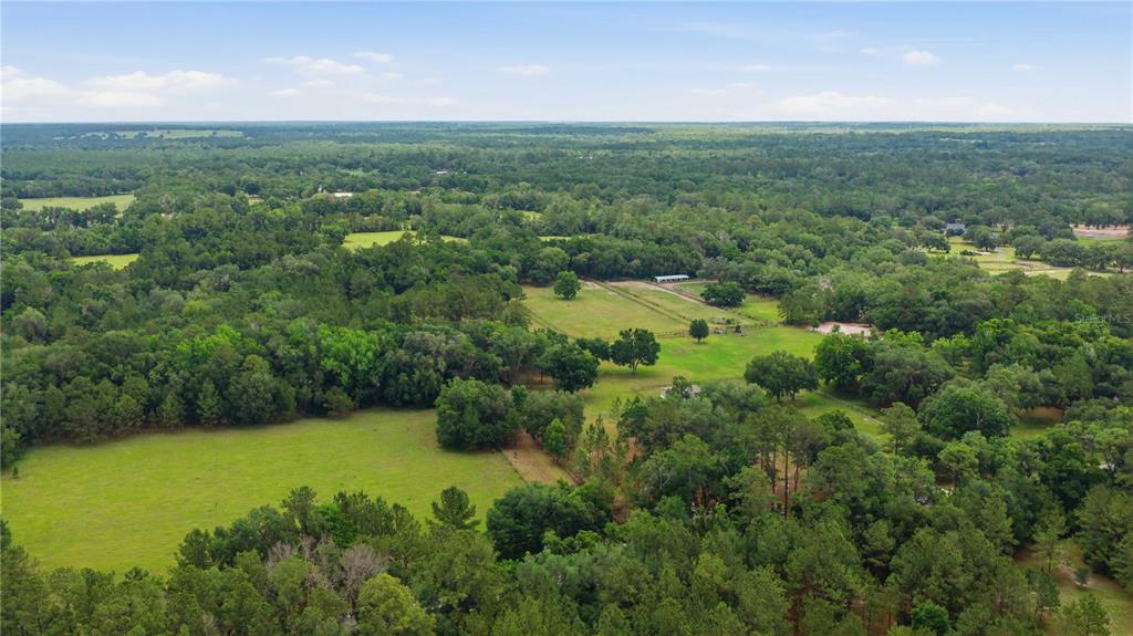 An aerial view shows a large, grassy pasture surrounded by dense forest and trees — 12165 W HIGHWAY 326, OCALA, FL