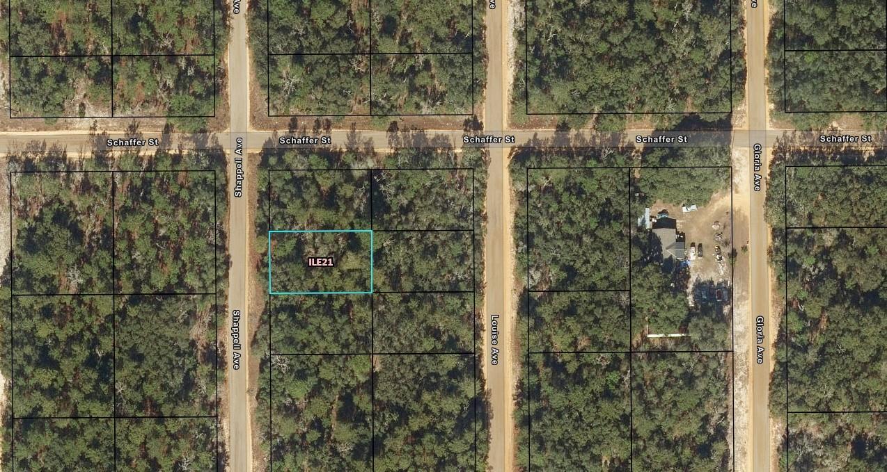 This is an aerial map view of a wooded residential lot highlighted in blue — 0 Shappell Avenue, FL 32148, FL