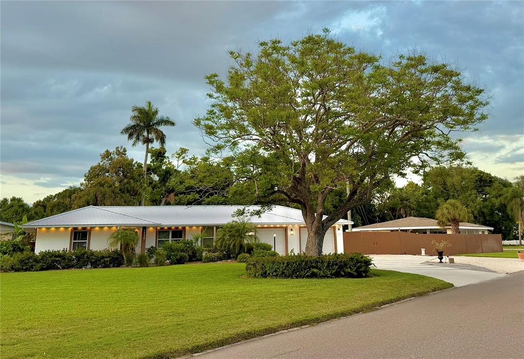 A single-story white house with a metal roof sits behind a large tree and lawn — 4620 7TH AVENUE W, BRADENTON, FL