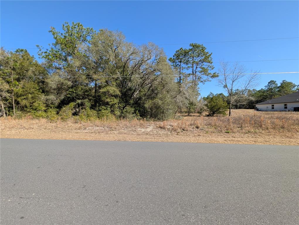 A paved road runs in front of a vacant, wooded lot under a clear sky — SW SOUNDVIEW DRIVE, DUNNELLON, FL