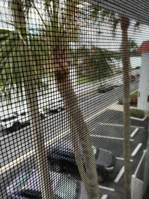 A view of a parking lot and palm tree through a window screen — 10530 77TH TERRACE UNIT 323, SEMINOLE, FL