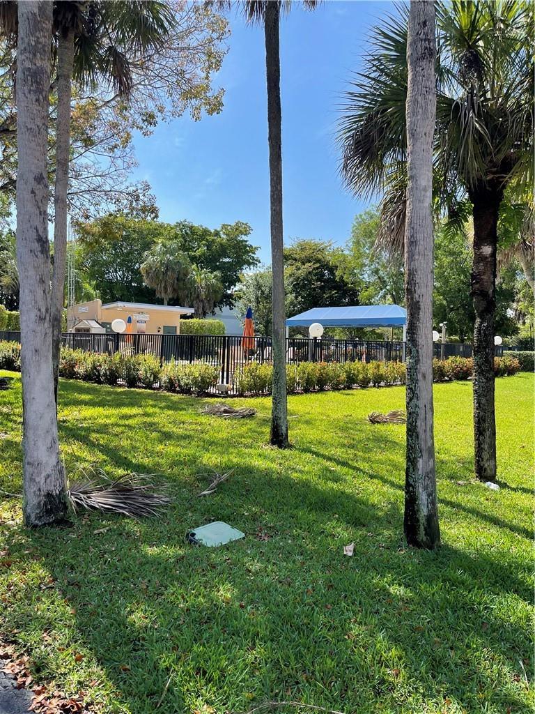 A fenced outdoor pool area with a blue canopy and palm trees on a grassy lawn — 197 Lakeview Drive # 202, Weston FL 33326, WESTON, FL