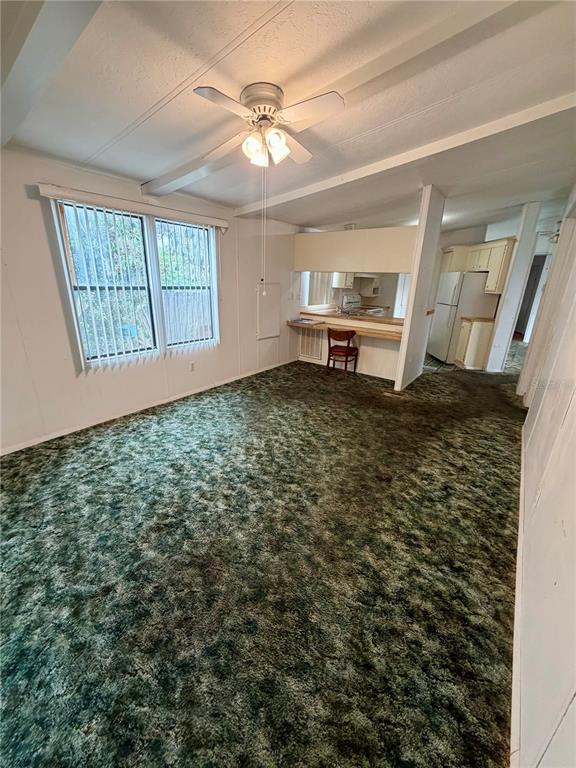 A living room features green shag carpeting, a ceiling fan, and a kitchen pass-through window — 820 WATER OAKS DRIVE, WINTER HAVEN, FL