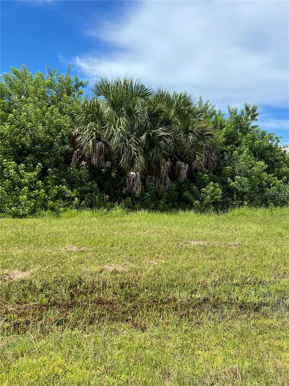 A palm tree stands behind a grassy field under a blue sky with clouds — 156 COUGAR WAY, ROTONDA WEST, FL