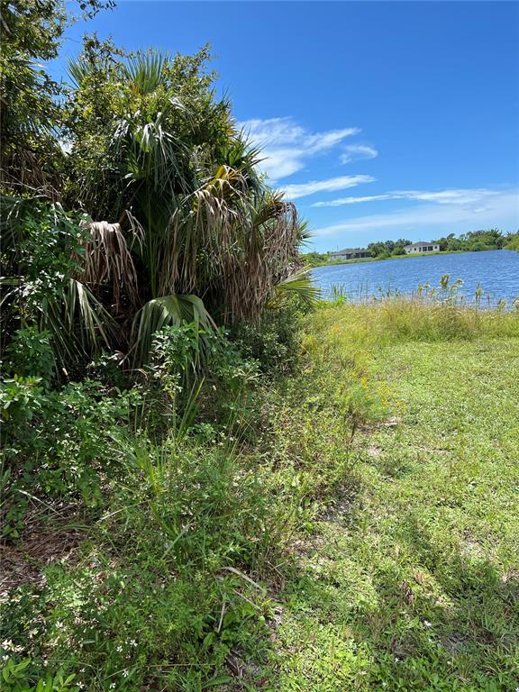 A view of a grassy area leading to a lake with trees and distant houses — 156 COUGAR WAY, ROTONDA WEST, FL
