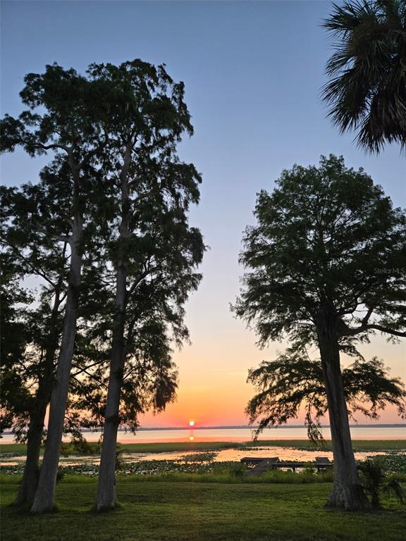 A sunset view over a lake framed by large trees and a small wooden dock — 2901 KAYWORTH ROAD, LAKE WALES, FL