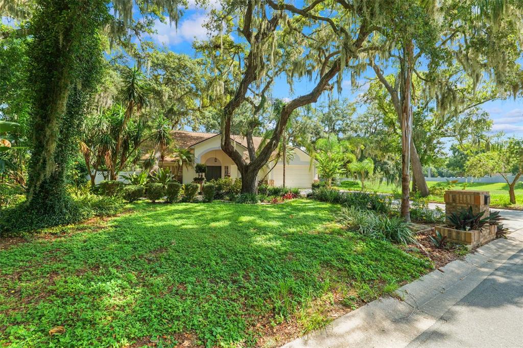 A single-story house with a garage sits behind a large lawn and mature oak trees — 2770 BUCKHORN OAKS DRIVE, VALRICO, FL