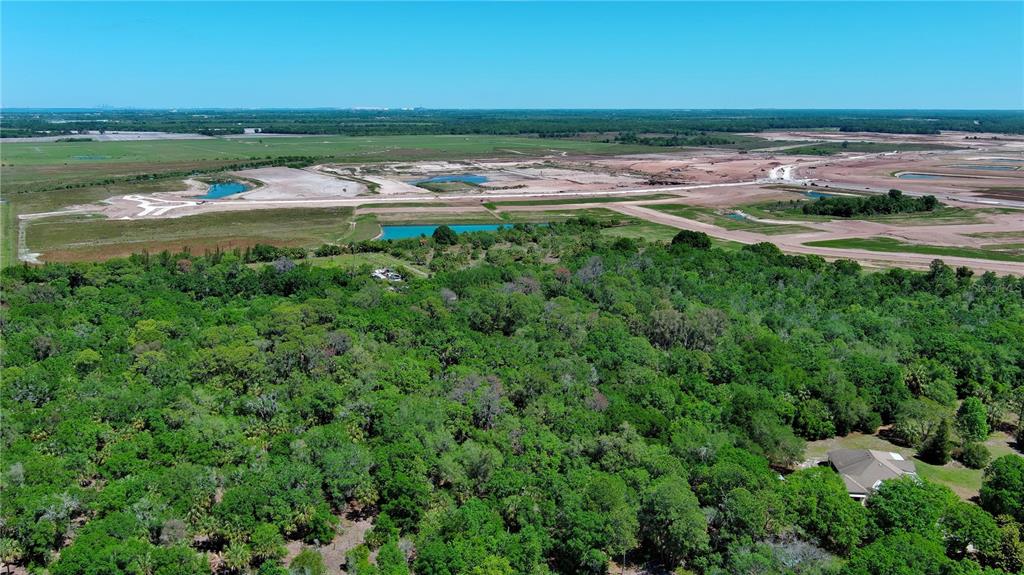An aerial view shows a dense forest bordering a large area of cleared land — 12870 GRASS FARM ROAD, PALMETTO, FL