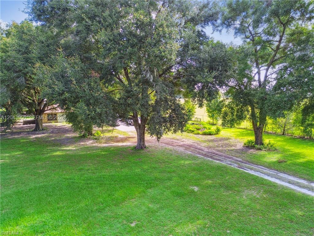 A grassy yard features several large, mature oak trees and a dirt driveway — OTHER CITY - IN THE STATE OF FLORIDA, MS