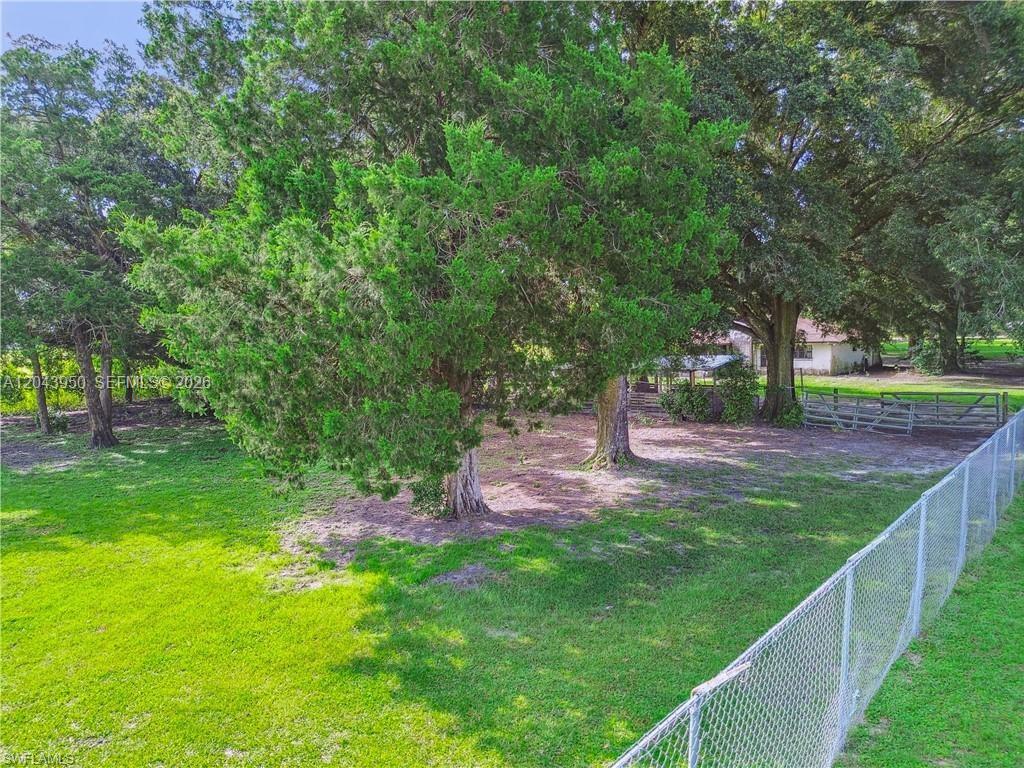A grassy yard features several large trees and a chain-link fence — OTHER CITY - IN THE STATE OF FLORIDA, MS