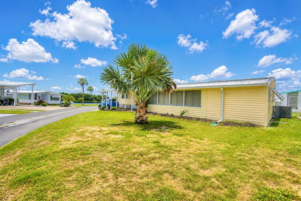 A yellow mobile home sits on a grassy lot with a palm tree in front — 4234 ROLLING OAKS DRIVE, WINTER HAVEN, FL