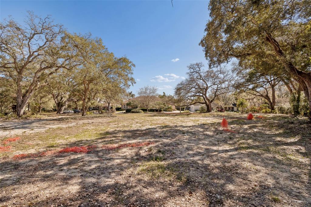 A vacant, sandy residential lot is surrounded by large, mature oak trees — 3015 W FAIR OAKS AVENUE, TAMPA, FL