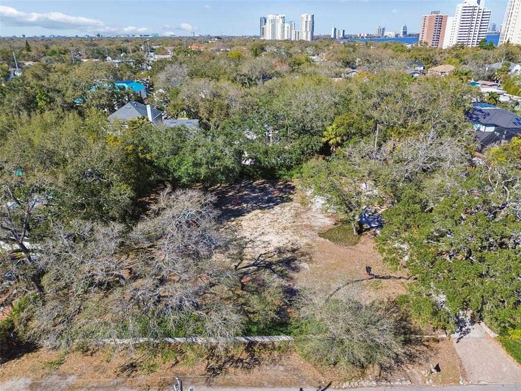 An aerial view of a vacant, tree-covered residential lot in a suburban neighborhood — 3015 W FAIR OAKS AVENUE, TAMPA, FL