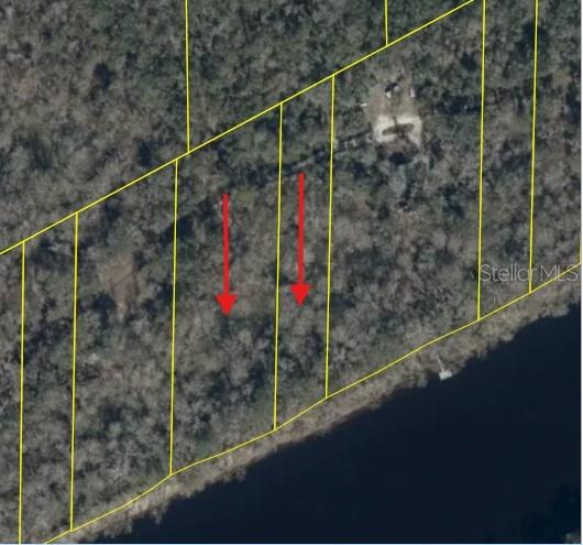 This is an aerial map showing several wooded waterfront lots outlined in yellow — 893 NE 930 STREET, CROSS CITY, FL