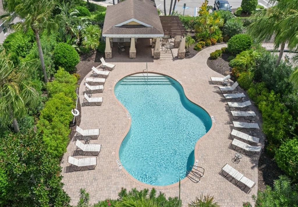 An aerial view of a swimming pool surrounded by lounge chairs and a covered patio — 5711 ARBOR WOOD COURT, BRADENTON, FL