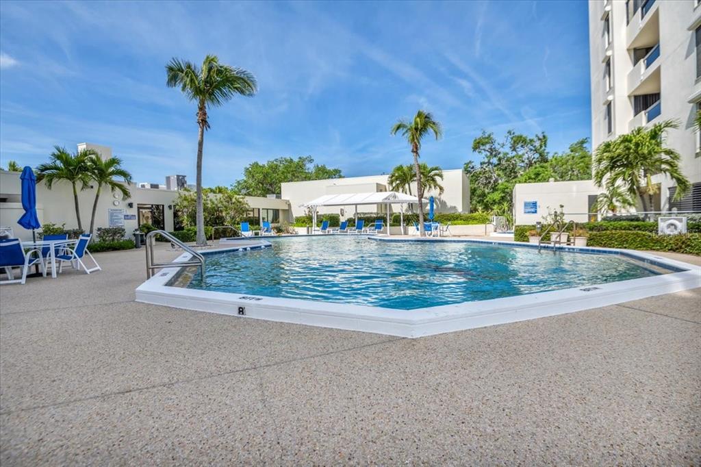 An outdoor swimming pool surrounded by a concrete deck, palm trees, and a multi-story building — 2020 HARBOURSIDE DRIVE UNIT 446, LONGBOAT KEY, FL
