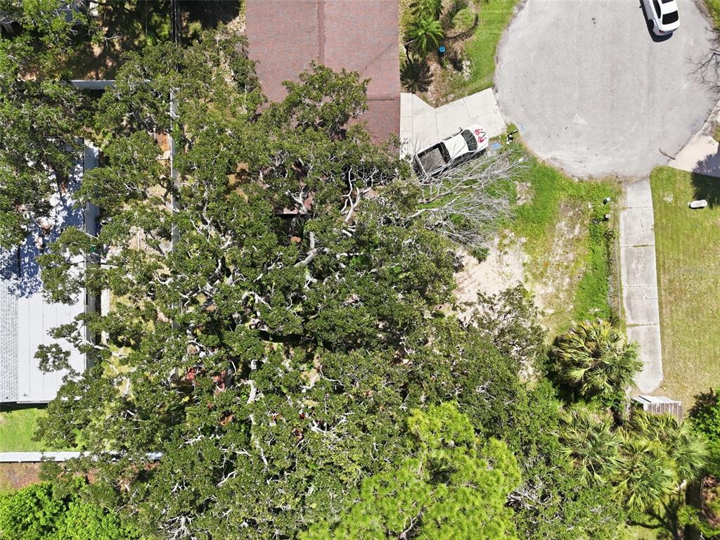 An aerial view shows a house with a large tree covering much of the yard — 4925 AMHERST COURT, NEW PORT RICHEY, FL
