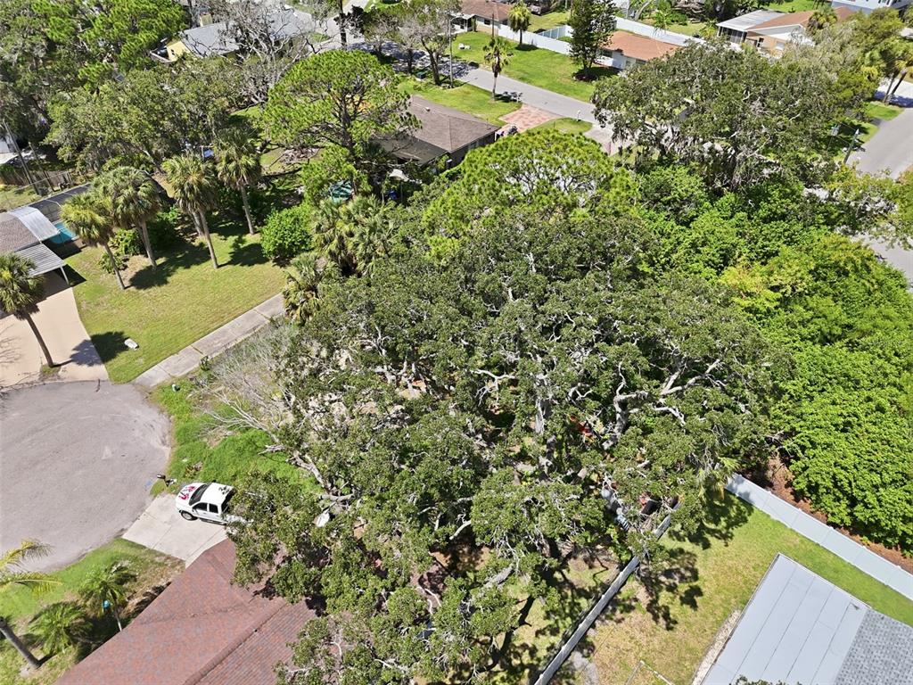 An aerial view shows a large oak tree shading a residential backyard and driveway — 4925 AMHERST COURT, NEW PORT RICHEY, FL
