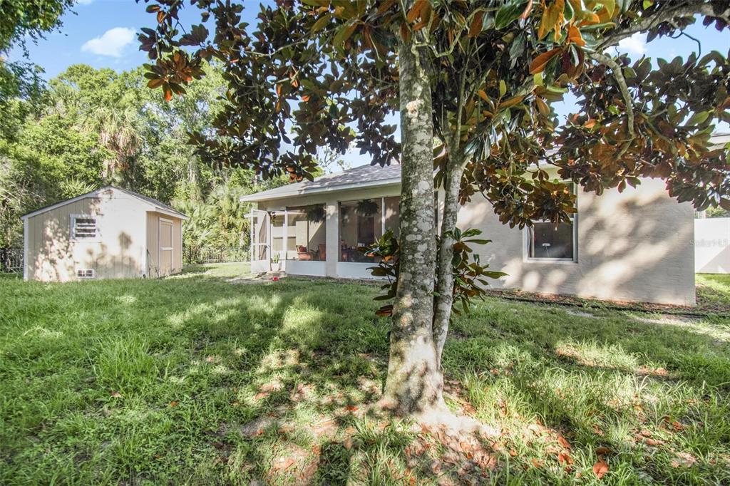 A backyard view showing a house with a screened-in porch, a shed, and a tree — 203 FRONTIER DRIVE, PALM COAST, FL