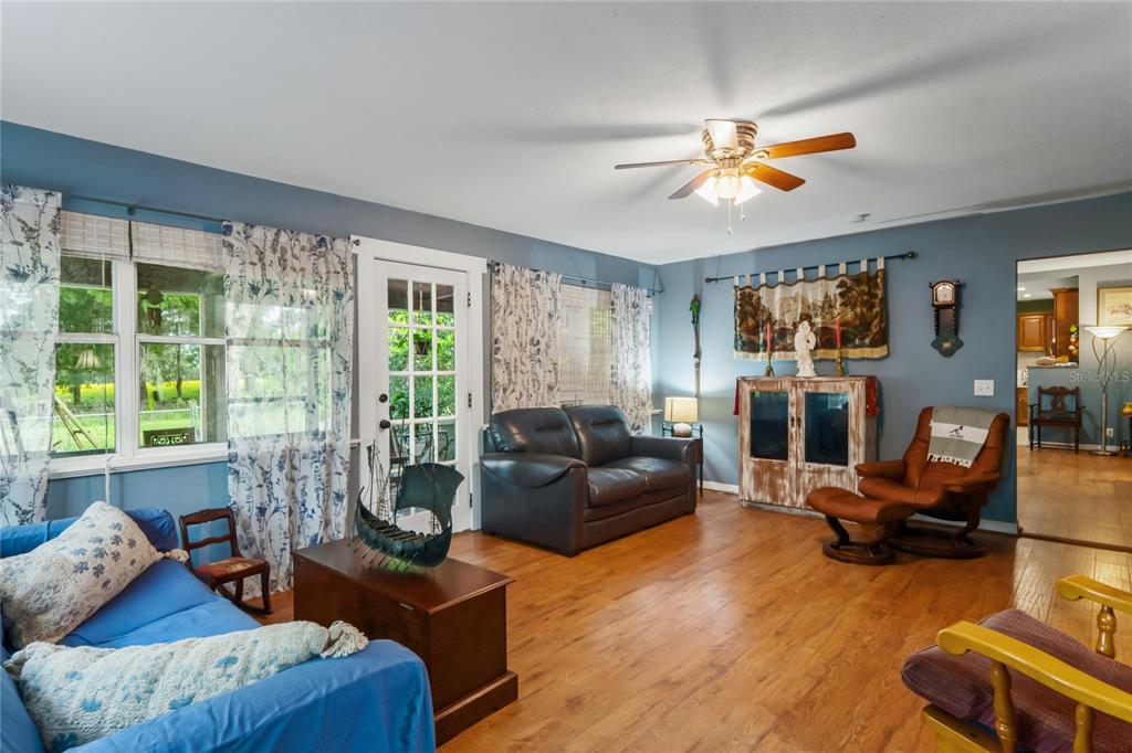 A living room features blue walls, wood-look flooring, a ceiling fan, and a glass-paned door — 6202 STAFFORD ROAD, PLANT CITY, FL