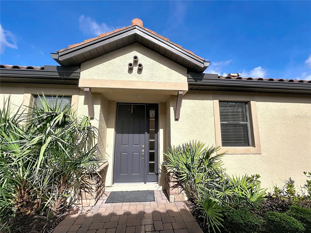 The exterior of a house features a dark front door, stone accents, and landscaping — 8335 ALBERATA VISTA DRIVE, TAMPA, FL