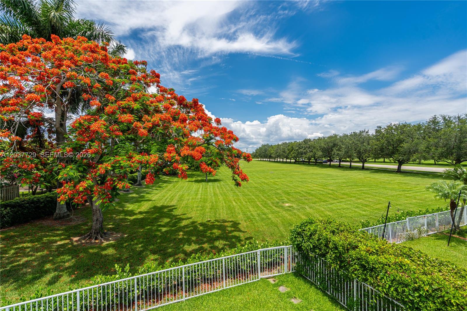 A large, blooming royal poinciana tree stands beside a vast, mowed lawn and white fence — 2128 SW 176th Ter, Miramar FL 33029, MIRAMAR, FL