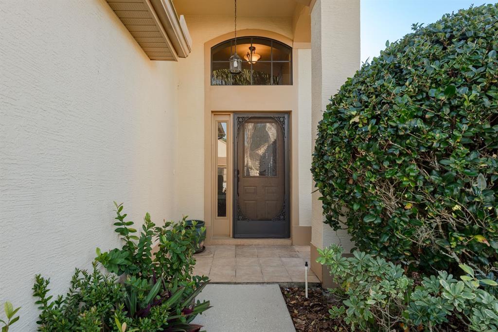 A front entryway features a brown storm door, a side window, and an arched transom — 9326 PALM HAVEN COURT, NEW PORT RICHEY, FL