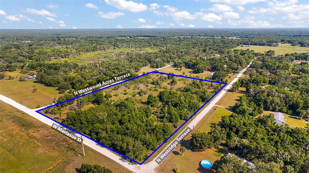 An aerial view shows a vacant, wooded lot outlined in blue at a road intersection — 9807 N WESTRIDGE TERRACE, CRYSTAL RIVER, FL