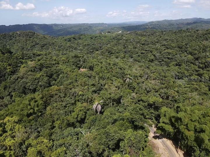 An aerial view shows a dense, hilly forest landscape with a winding dirt road below — Road PR-140 km 34.2 BARRIO DON ALONSO, UTUADO, PR