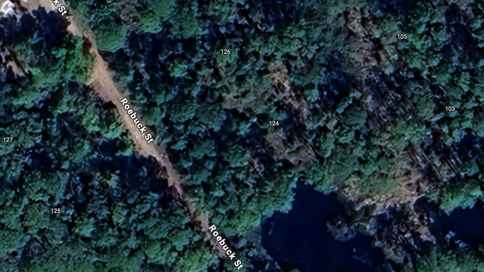 This is a satellite map view showing Roebuck Street and surrounding numbered land parcels — 124 Roebuck Street, FL 32139, FL