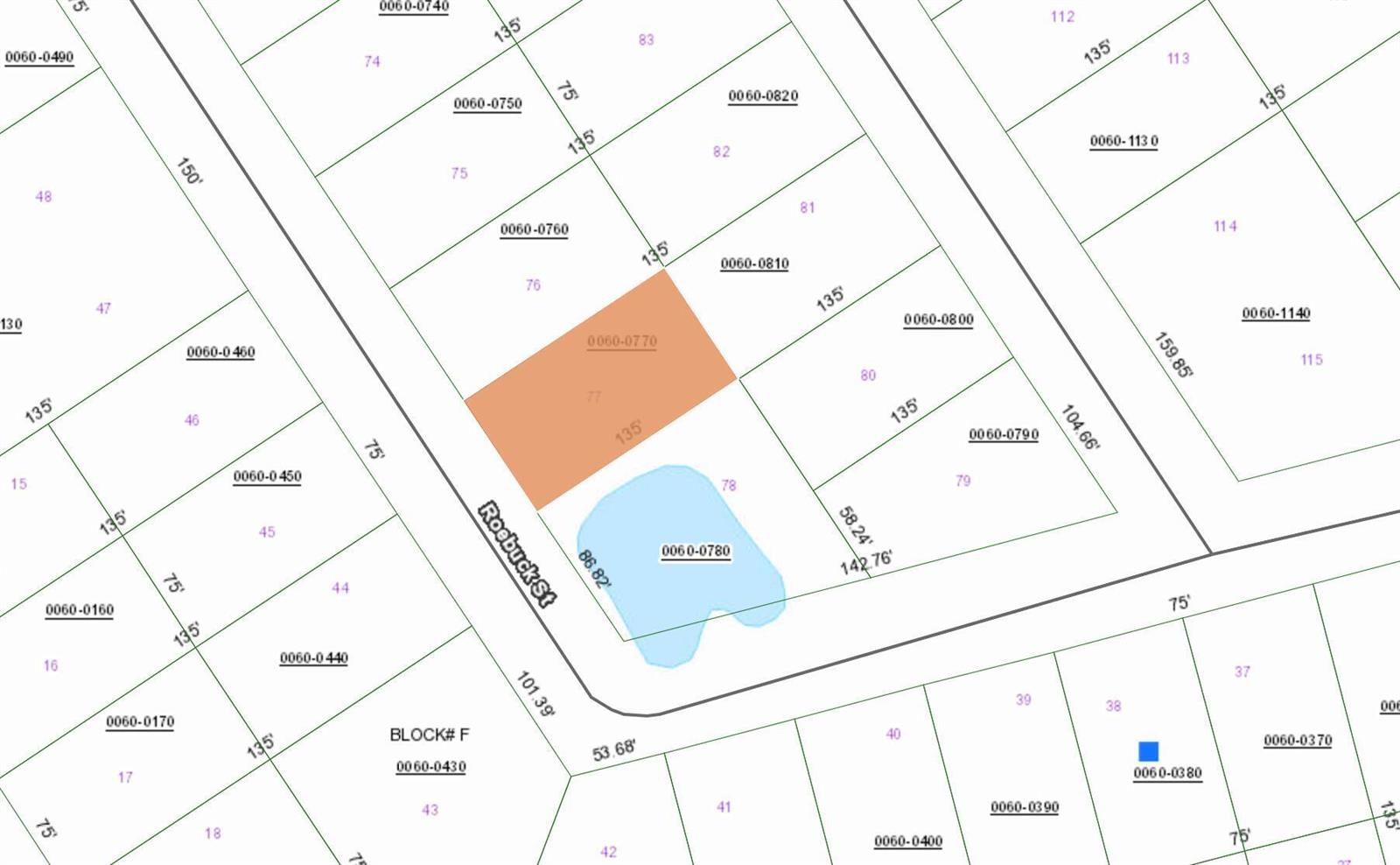 This is a property tax map showing parcel boundaries, lot numbers, and street names — 124 Roebuck Street, FL 32139, FL