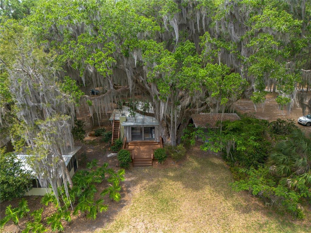 An aerial view shows a house nestled under a large tree with hanging Spanish moss — 7305 NE 222ND STREET, MELROSE, FL