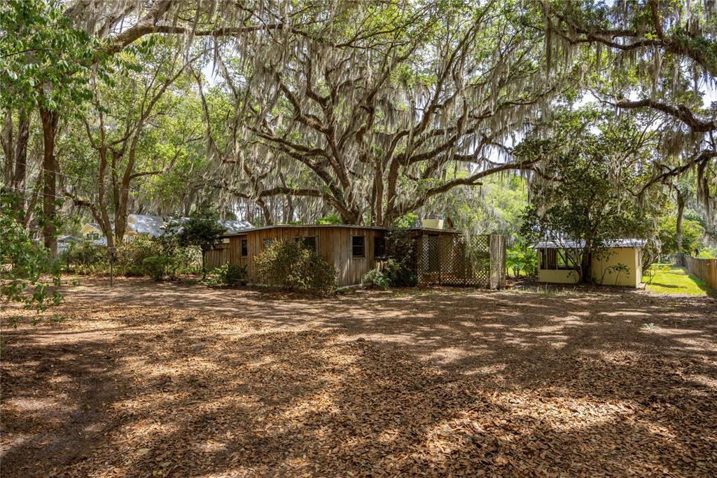 A rustic wooden house sits in a wooded yard covered with fallen leaves — 7305 NE 222ND STREET, MELROSE, FL