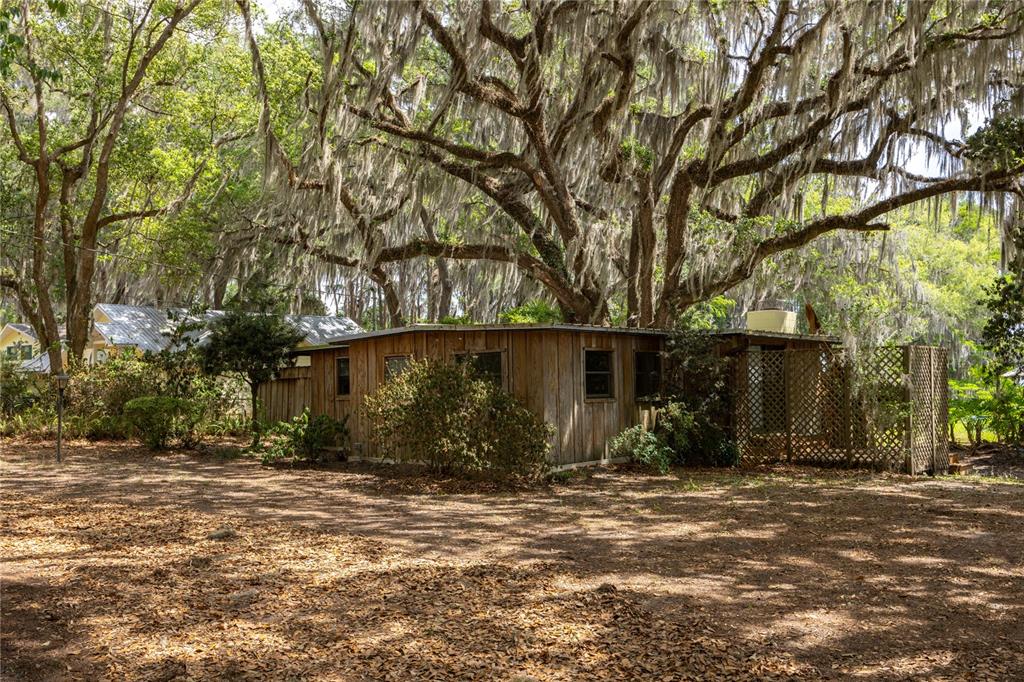A rustic wooden cabin sits beneath large trees draped in Spanish moss — 7305 NE 222ND STREET, MELROSE, FL