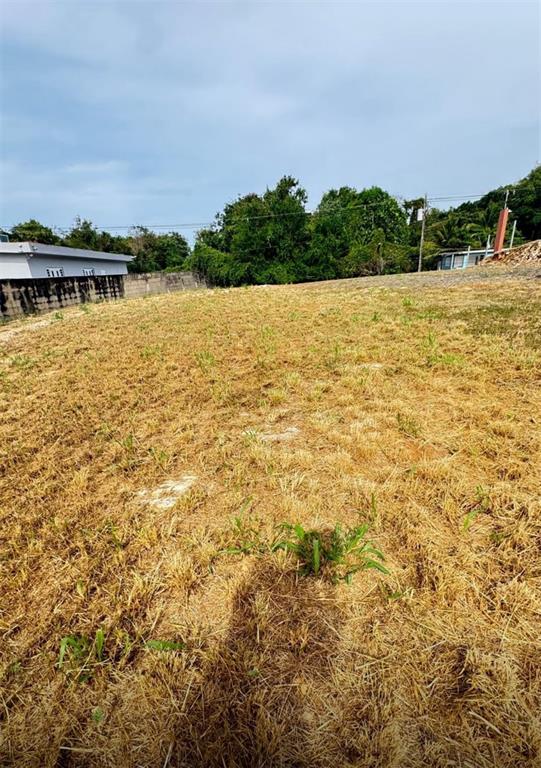 A grassy, vacant lot sits in front of a house under a cloudy sky — CARR 637 BO MIRAFLORES SECTOR BIAFARA, ARECIBO, PR