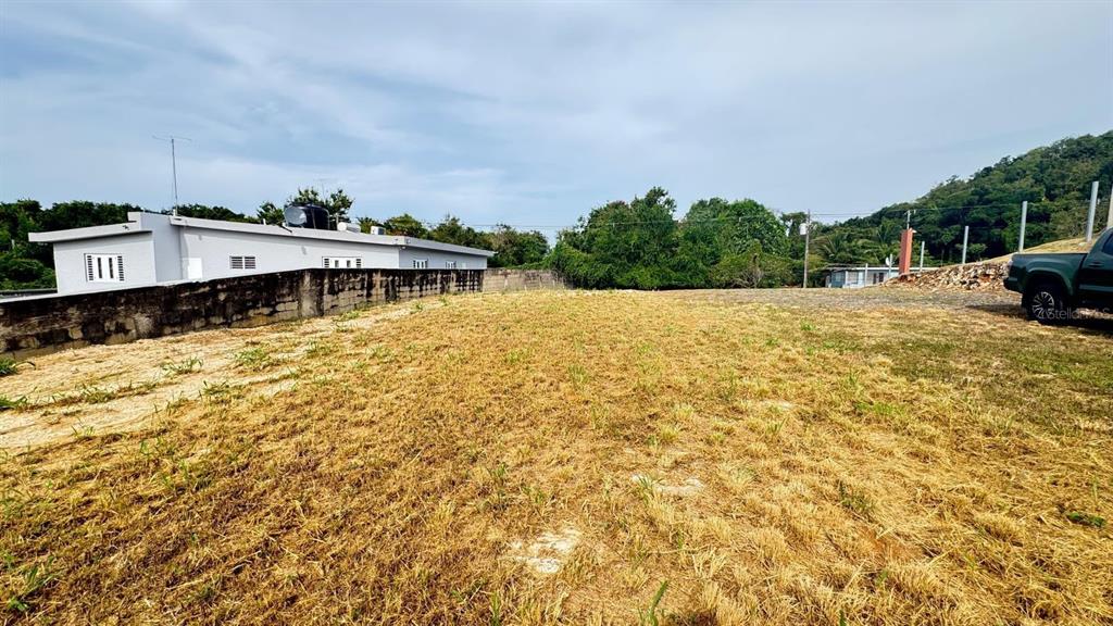 A vacant, grassy lot sits next to a concrete wall and a white building — CARR 637 BO MIRAFLORES SECTOR BIAFARA, ARECIBO, PR