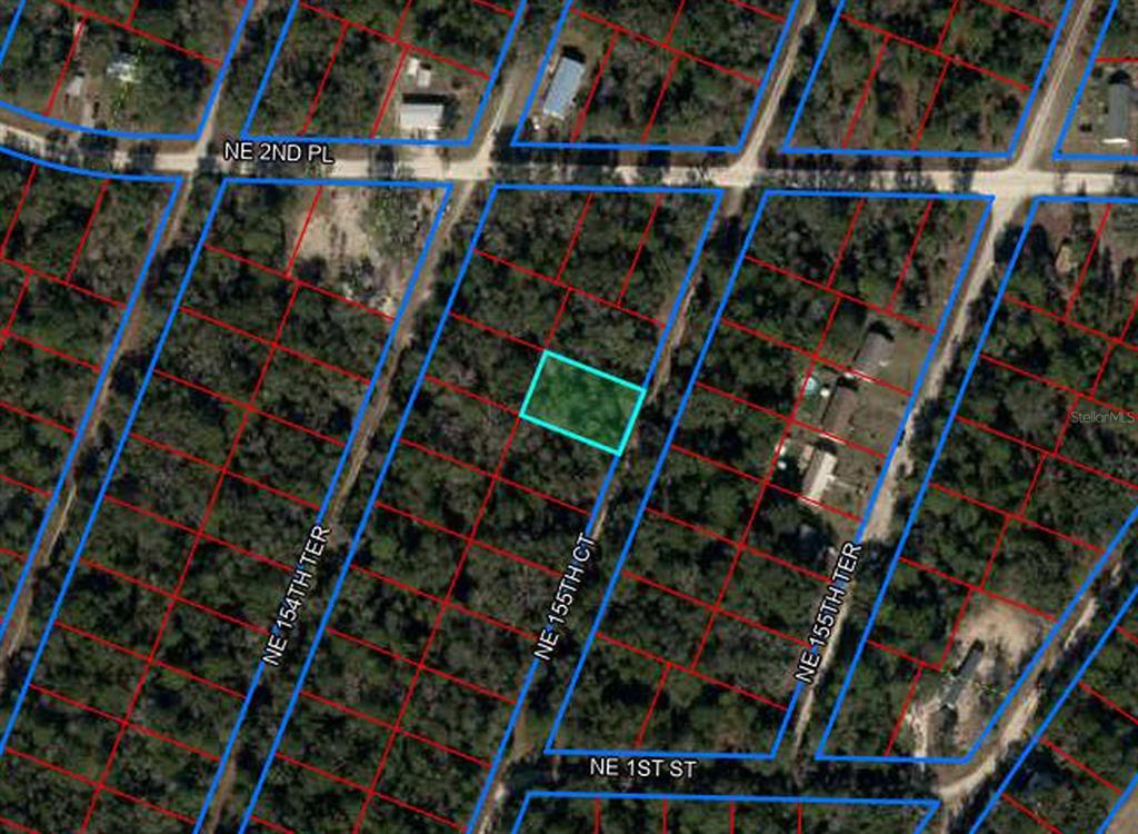 This is an aerial map showing a highlighted rectangular plot of land — 176 NE 155TH COURT, WILLISTON, FL