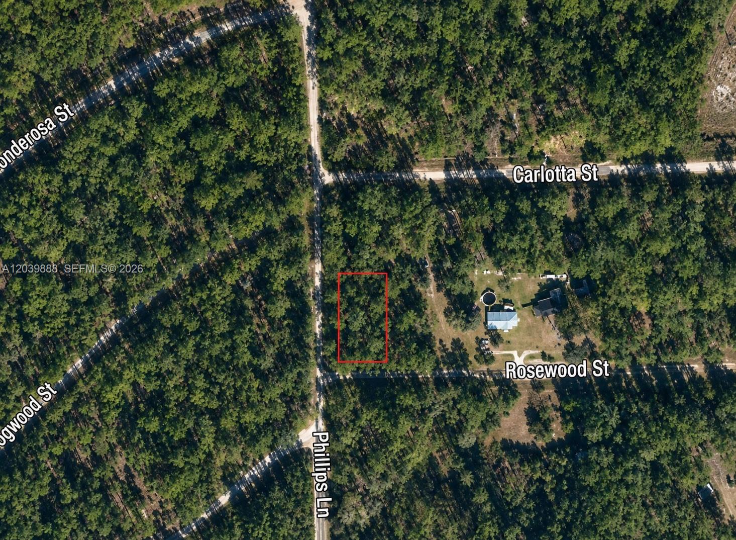 An aerial map shows a rectangular vacant lot outlined in red near a dirt road — OTHER CITY - IN THE STATE OF FLORIDA, FL
